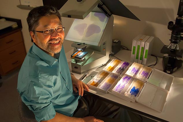 USF professor Toru Shimizu's work with birds is providing insights into the mysteries of intelligence shared by both birds and humans (Photo: Aimee Blodgett, USF News)