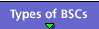 Types of BSCs